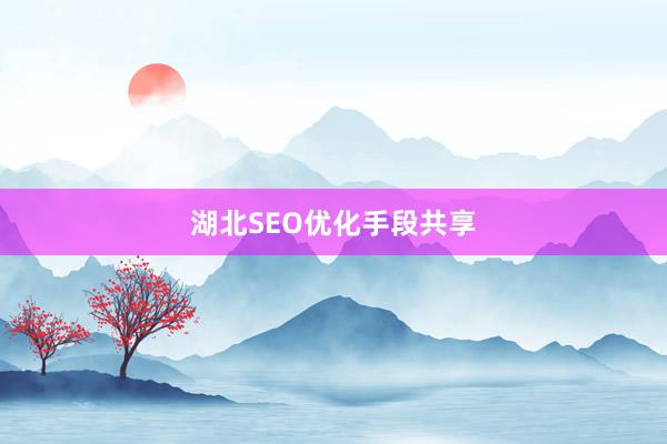 湖北SEO优化手段共享