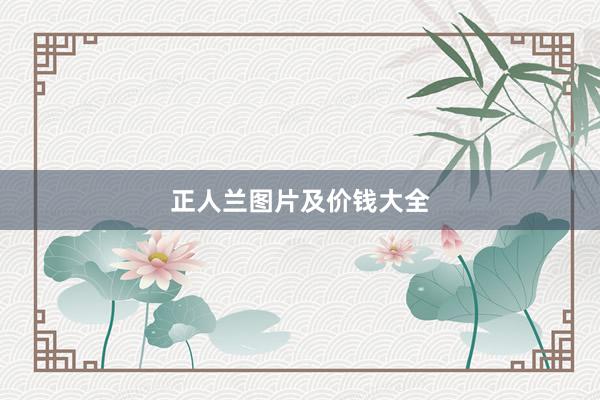 正人兰图片及价钱大全